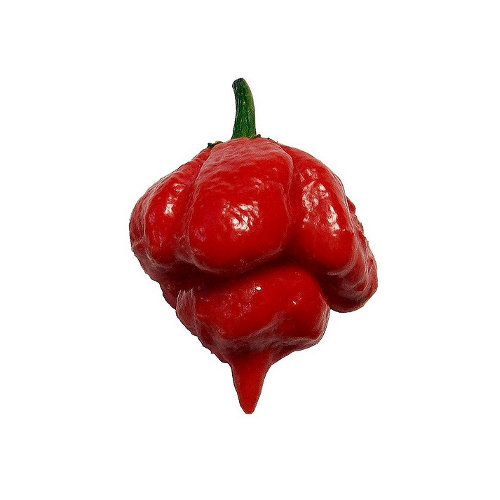 7 Pot Chili Samen
