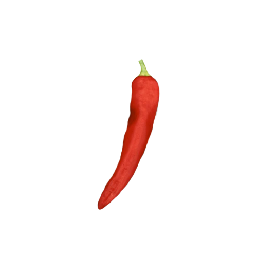 Anaheim Chili Samen