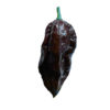 Black Naga