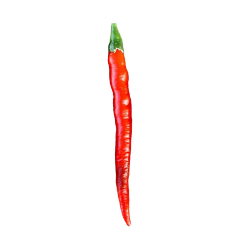 Cayenne Chili Samen