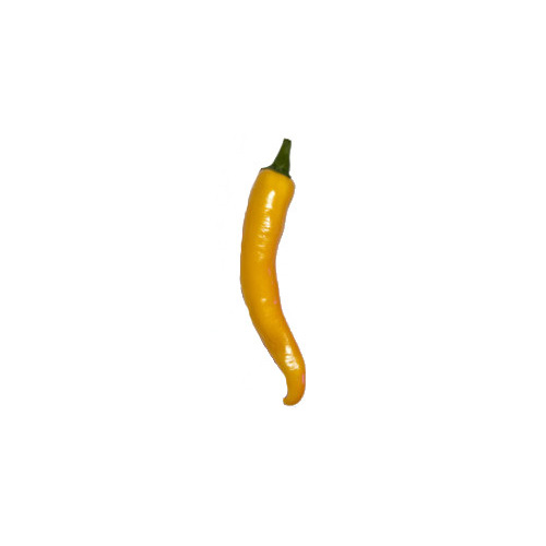 Golden Cayenne Chili Samen