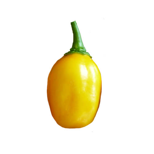 Habanero Orange Apple Chili Samen