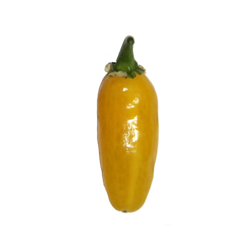 Maraba Chili Samen