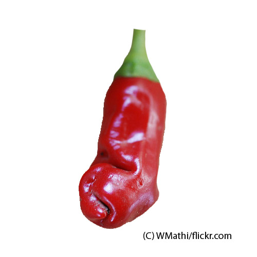 Peter Pepper Chili Samen