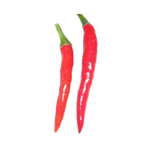 Thai Hot Chili Samen